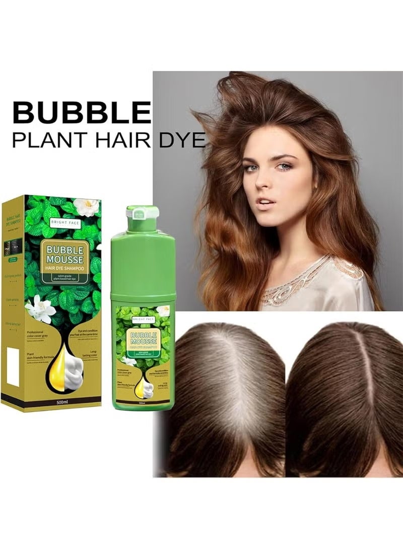 Bright Face 2pc Bright Face Bubble Mousse Shampoo, Natural Hair Mousse with Plant Dye Formula, Durable, Vegetable Foam Hair Dye, Fast Acting, Hair Dye, Bubble Hair Dye, Hair Dye (500x2ml) BLACK - Image 2